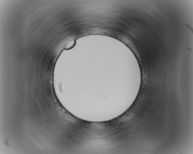 X0000100410954200806271441