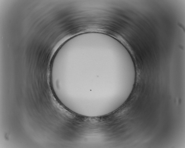 X0000100410955200806271441