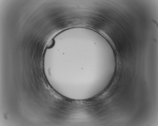 X0000100410956200806271441