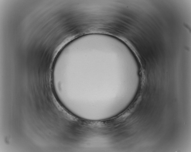 X0000100410957200806271441