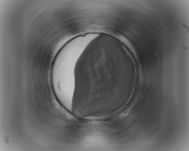 X0000100410958200806271441