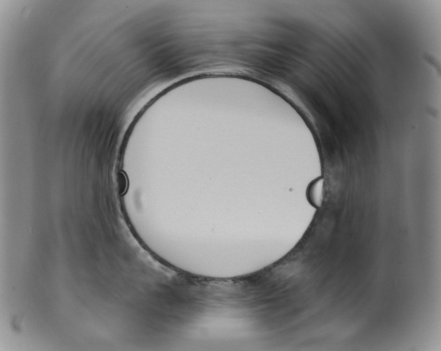 X0000100410959200806271441