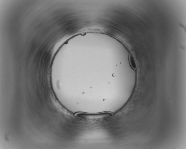 X0000100410960200806271441