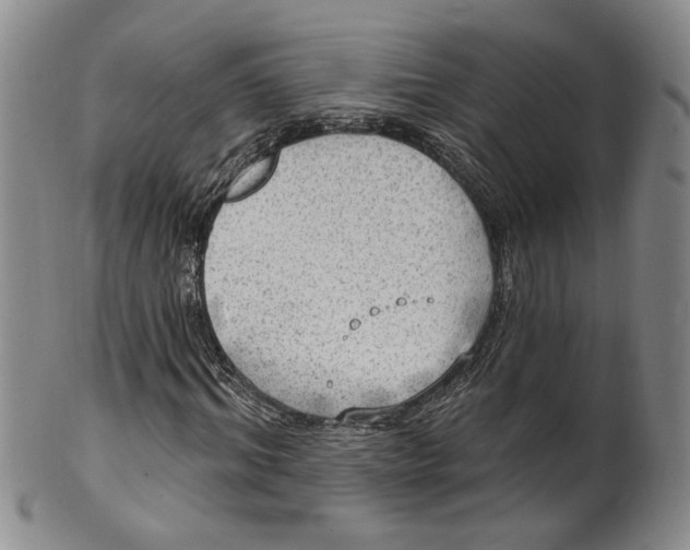 X0000100410964200806271440