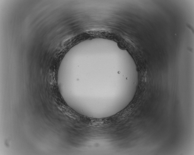 X0000100410965200806271440