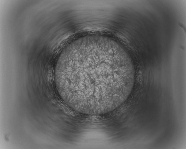 X0000100410966200806271440