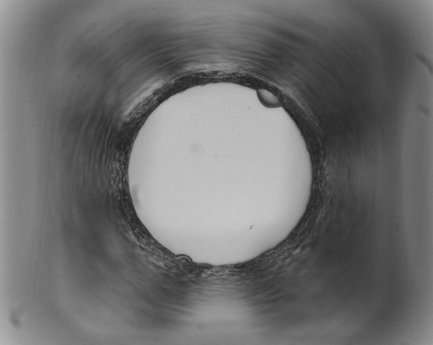 X0000100410967200806271440