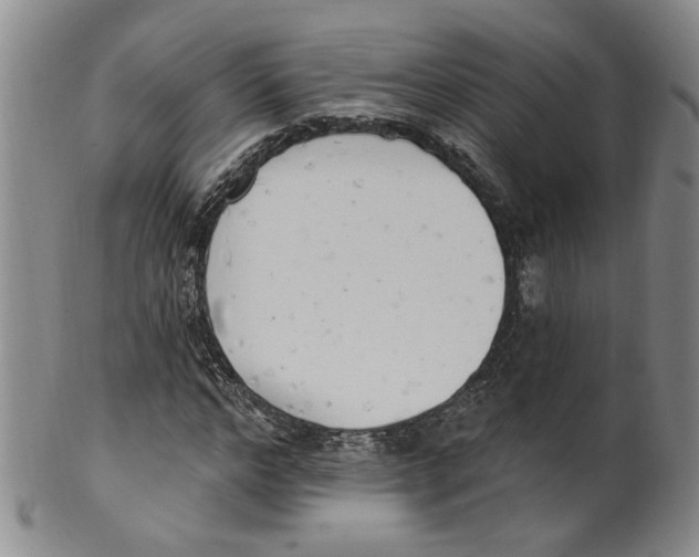 X0000100410968200806271440