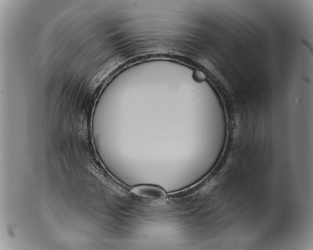 X0000100410969200806271440