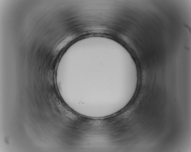 X0000100410970200806271440