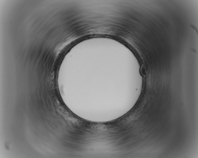 X0000100410971200806271440