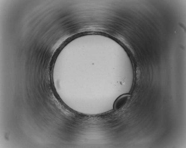 X0000100410972200806271440