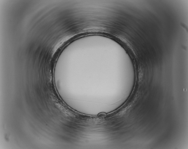 X0000100410973200806271440