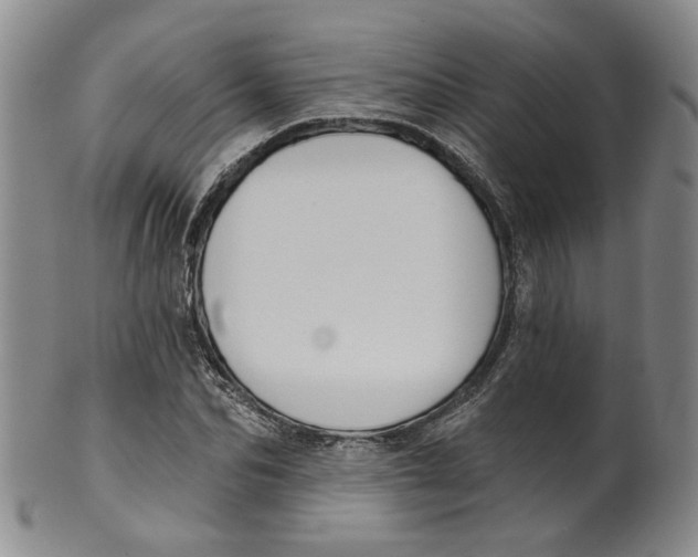 X0000100410974200806271440