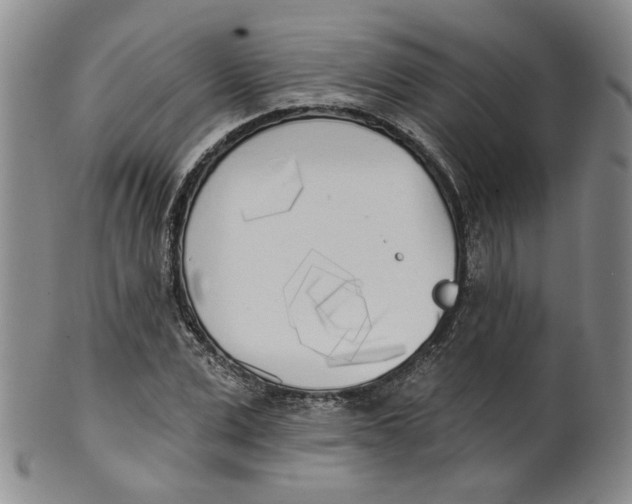 X0000100410975200806271440