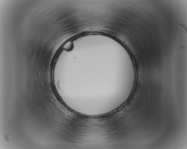 X0000100410976200806271440