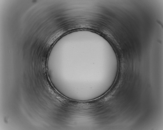 X0000100410977200806271440