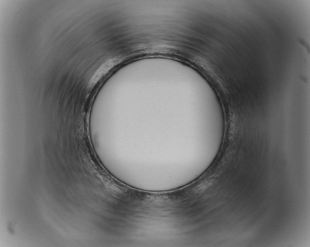 X0000100410978200806271440