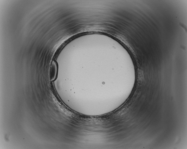 X0000100410980200806271440