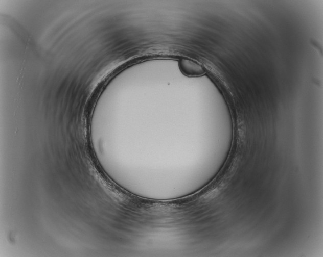 X0000100410981200806271440