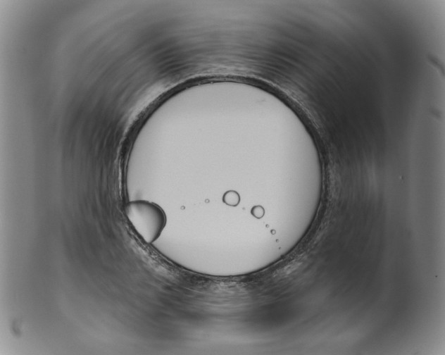 X0000100410982200806271440