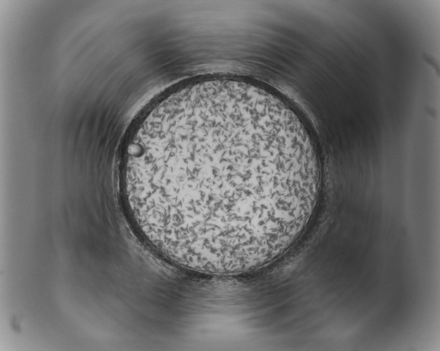 X0000100410983200806271440