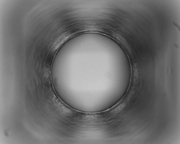 X0000100410985200806271440