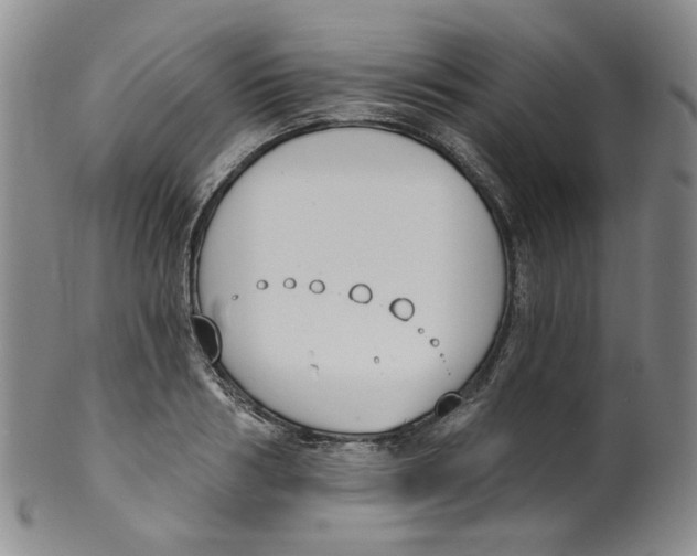 X0000100410986200806271440