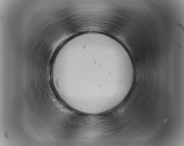 X0000100410987200806271440