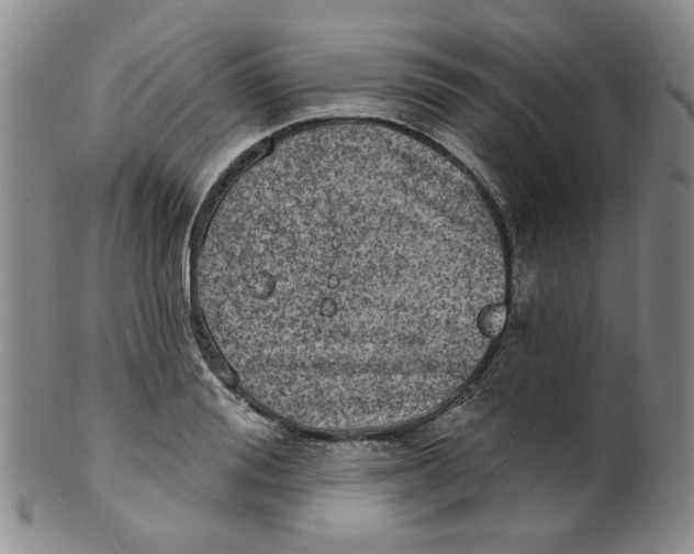 X0000100410988200806271440