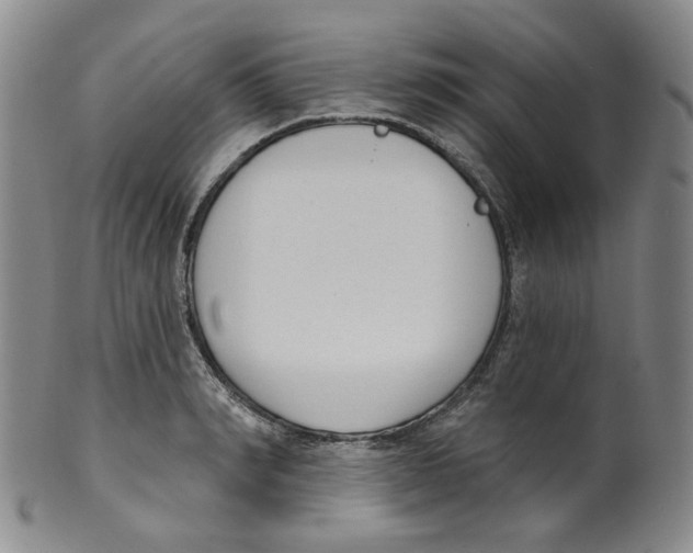 X0000100410990200806271440