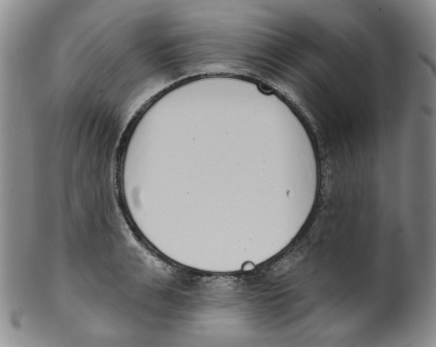 X0000100410991200806271440