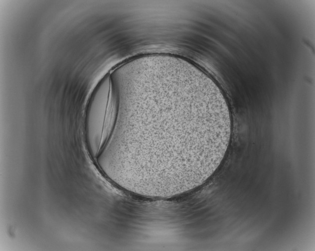 X0000100410992200806271440