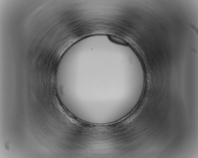 X0000100410993200806271440