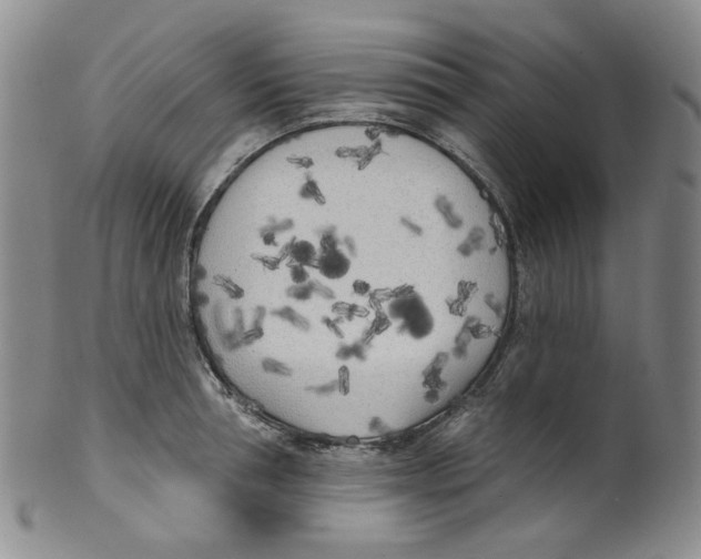 X0000100410994200806271440