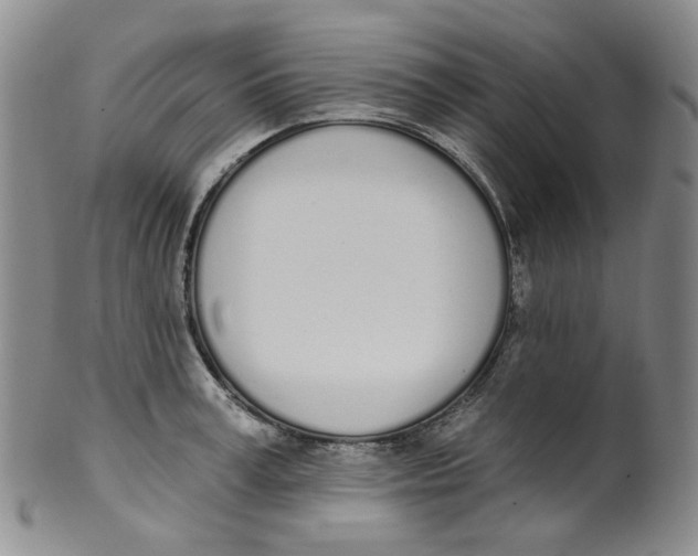 X0000100410995200806271439