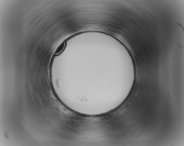 X0000100410996200806271439