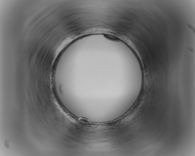 X0000100410997200806271439