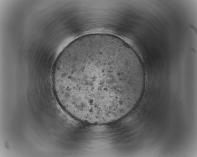 X0000100410998200806271439