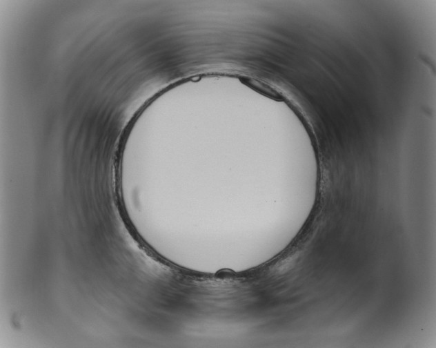 X0000100410999200806271439