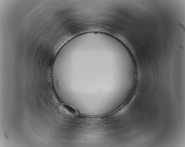 X0000100411001200806271439