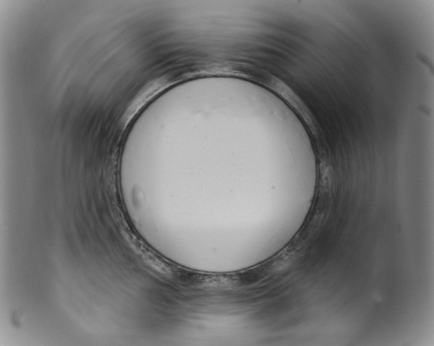 X0000100411002200806271439