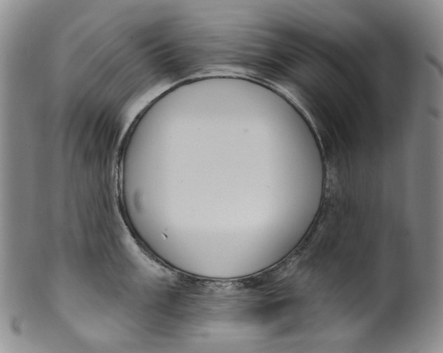 X0000100411003200806271439