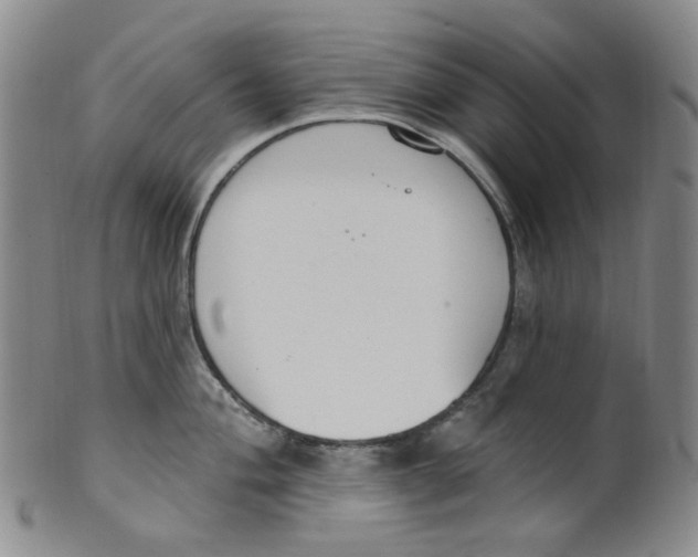 X0000100411004200806271439