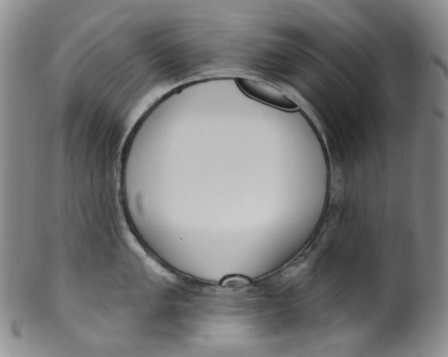 X0000100411005200806271439