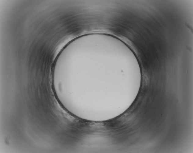 X0000100411006200806271439