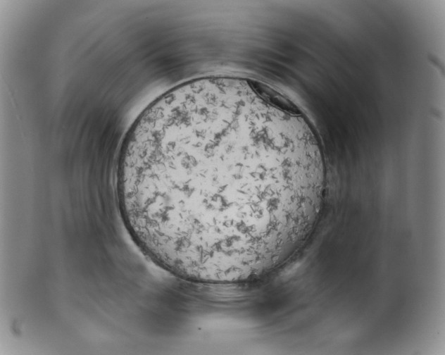 X0000100411007200806271439