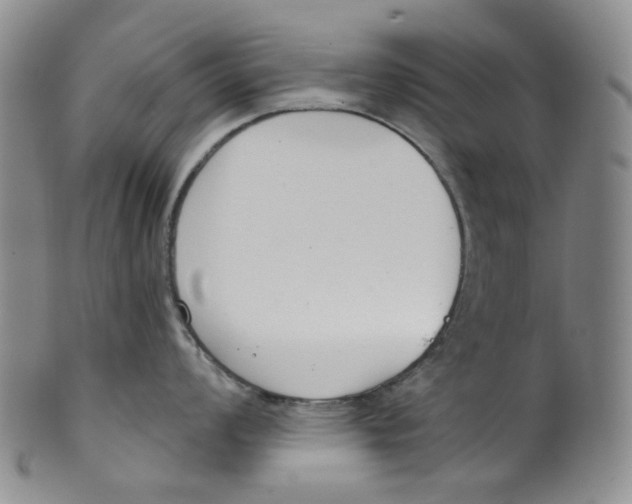 X0000100411008200806271439