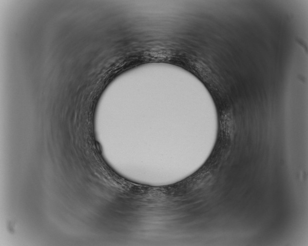 X0000100411009200806271439