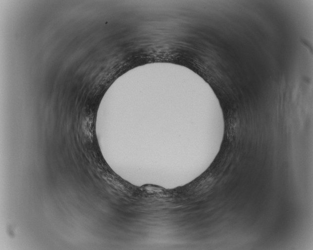 X0000100411010200806271439